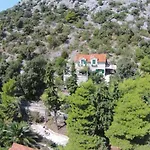 Ana Villa