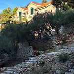 Ana Villa Sevid