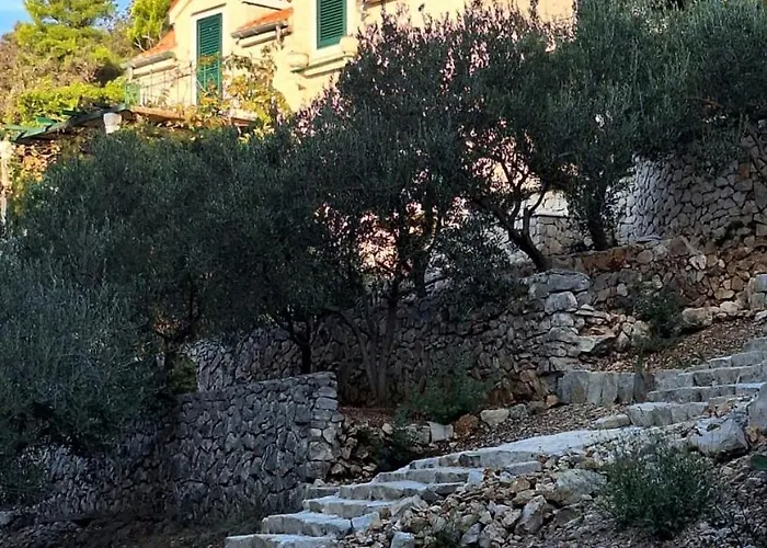 Ana ヴィラ セヴィド